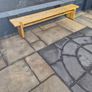 bench Image 2