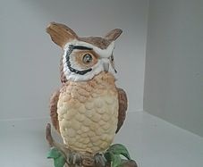 Wise Old Owl
