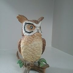 Wise Old Owl