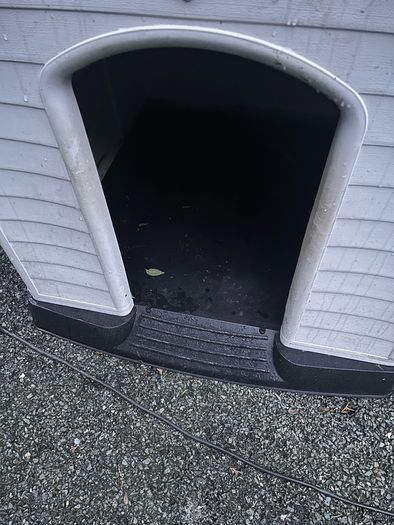 X Large Kennel