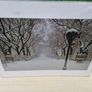 Large art photo - The Mall, Central Park, Manhattan, New York Image 2