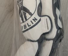 Kickboxing Shin Guards