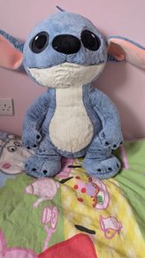 Teddy