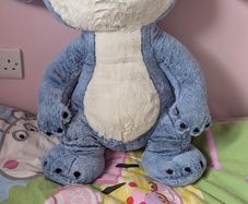 Teddy