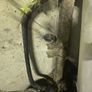 grand vitara parts Image 3