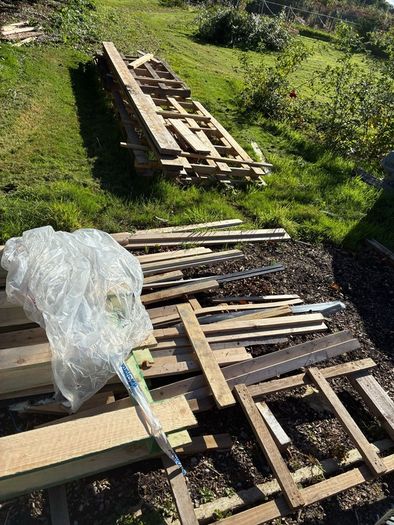 Free