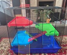 Large Hamster cage with accessories