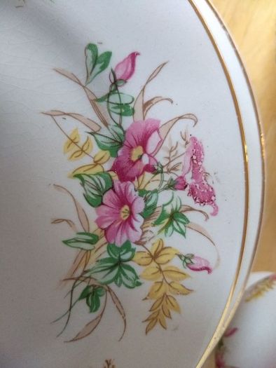 Beautiful 1950s Almost Complete Dinner Service by Arklow Pottery in Pattern Number 2508