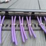 24 Port CAT6 Patch Panel Image 3
