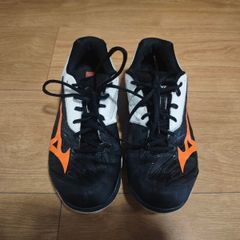 Mizuno Badminton Shoes