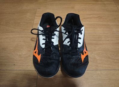 Mizuno Badminton Shoes