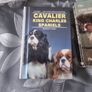 4 book lot on the Cavalier King Charles Spaniels Image 7