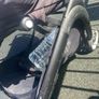 buggy Image 2