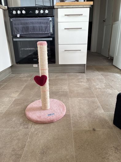 cat scratcher
