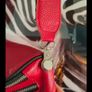 Red bag Image 2