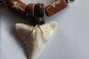 Shark tooth necklace