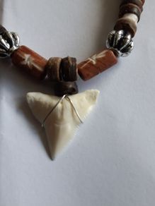 Shark tooth necklace
