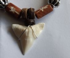 Shark tooth necklace