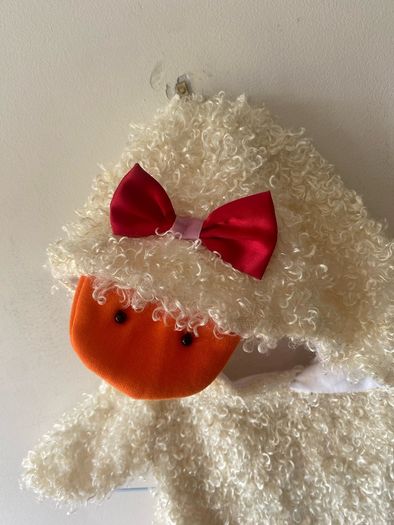 Costume (age 2-3)