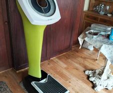 Coin operated Avery Scales