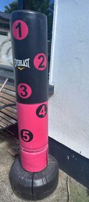 punching / kicking bag Everlast free standing