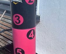 punching / kicking bag Everlast free standing