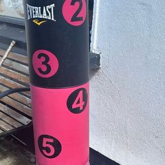 punching / kicking bag Everlast free standing