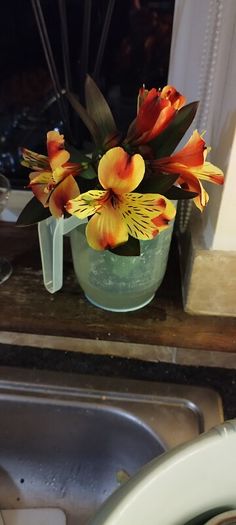 vases