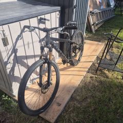 Carrera Bike