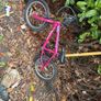 bike girls Image 2