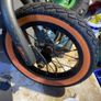 Mongoose Image 3