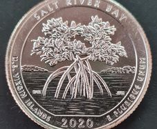 2020 D United States Mint State Quarter Dollar Salt River Bay