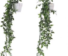 Set of 2 Hanging Artificial Plants Vines Plants Plastic Fake Plants Plant Pot Plant for Home Kitchen Garden Office Wedding Hanging Pot Wall Decoration Indoor Outdoor (FREE POSTAGE)