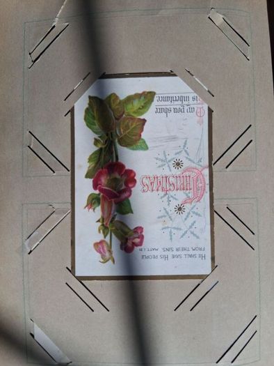 Mega Art Nouveau Postcard Album (197 Pieces)
