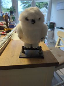 hedwig moving owl