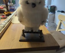 hedwig moving owl