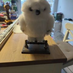 hedwig moving owl