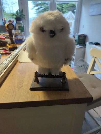hedwig moving owl