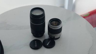 Canon EF lens: 28-90 and 70-300