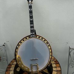 Davidson Short Scale Tenor Banjo - Rare