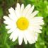 lorraine.hanbury.7