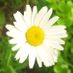 lorraine.hanbury.7