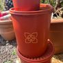 70s Tubberware Harvest Sunburst Orange nesting containers Image 6