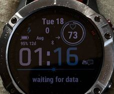 Garmin Pro Fenix 6X