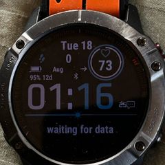 Garmin Pro Fenix 6X