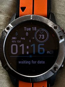 Garmin Pro Fenix 6X