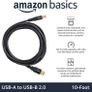 Amazon USB-A to USB-B 2.0 Cable, Gold-Plated, 3 m Image 4