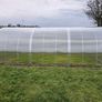 The  Classic Greenhouse Image 4