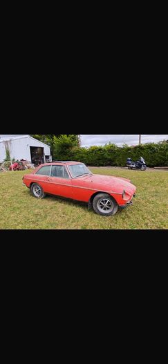Mg Bgt