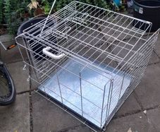 dog cage